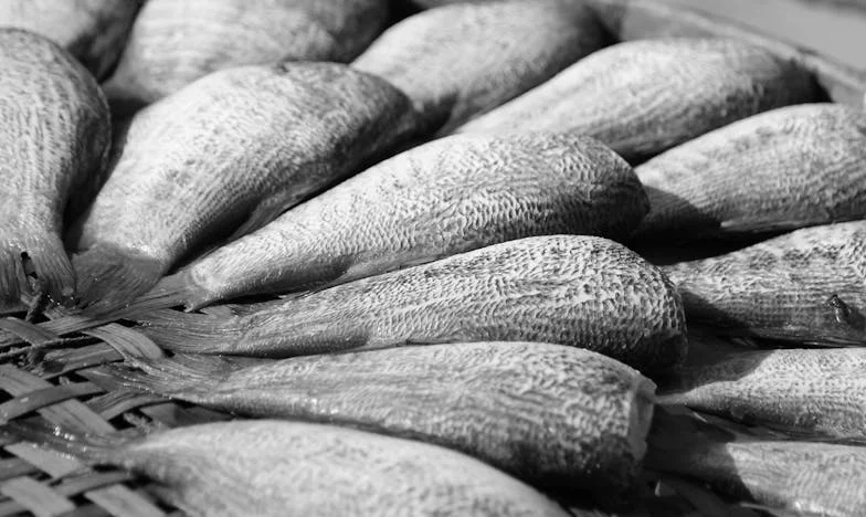 Kim teraz dla mnie jesteś? — Po trzydziestu latach ojciec wrócił do mojego życia… i od razu trafił do szpitala