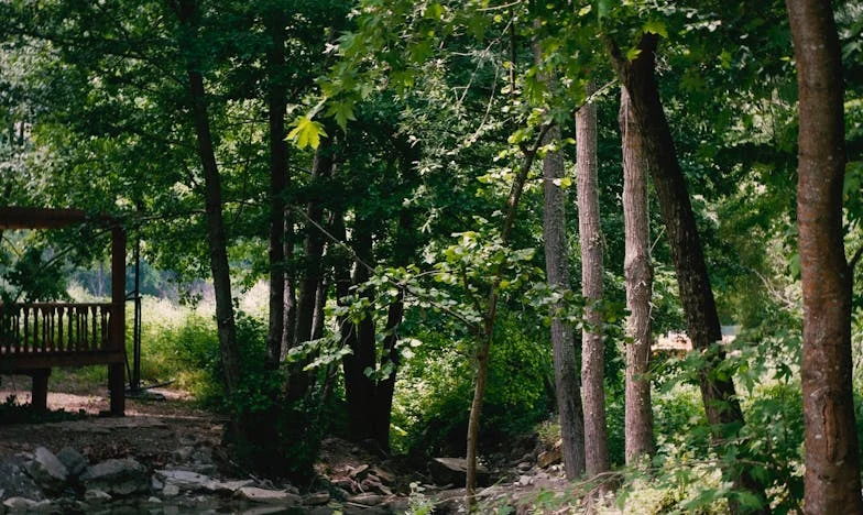 Między ciszą a burzą: Opowieść o rozmowie, która zmienia wszystko