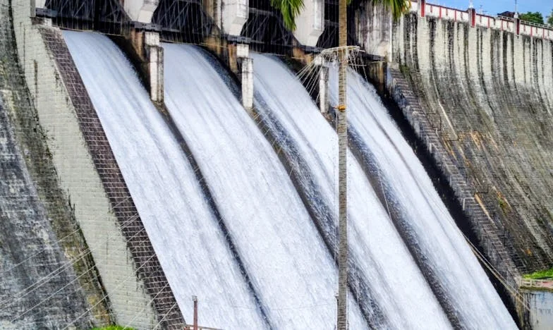 Między dwoma światami: Dziennik Kingi