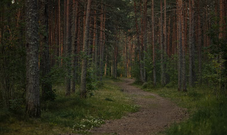 Między młotem a kowadłem: Historia Magdy, która musiała wybrać siebie