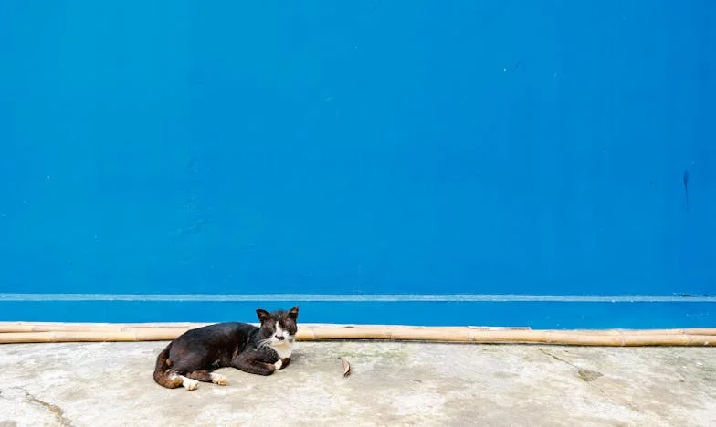 Mieszkanie po babci – dar czy przekleństwo? Nasza walka o własne życie