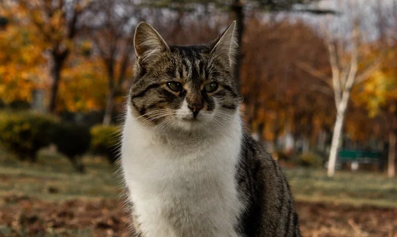 Młody marzyciel w cieniu rodzinnych burz: Historia Pawła z Gdańska