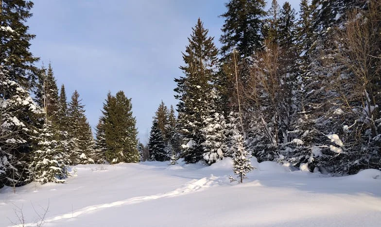 "Mój zięć chce przepisać dom na swoją matkę – czy powinnam się zgodzić? Moja córka jest w ciąży, a ja boję się o jej przyszłość"