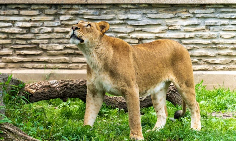 Moja córka twierdzi, że jestem złą matką, bo nie mam pieniędzy – czy naprawdę zawiodłam Julię?