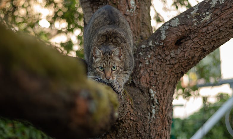 Moja mama oszczędzała każdy grosz, a ja płaciłam cenę – czy warto było stracić dzieciństwo dla bezpieczeństwa?