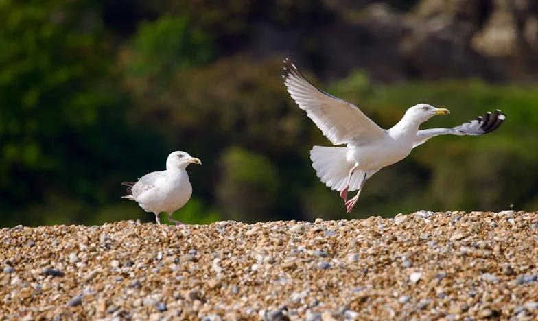 Nie tak miało być: Jak zostałem zapomniany przez własne dzieci