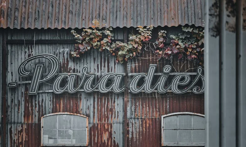 Niespodziewany gość przy stole – rodzinna kolacja, która zmieniła wszystko