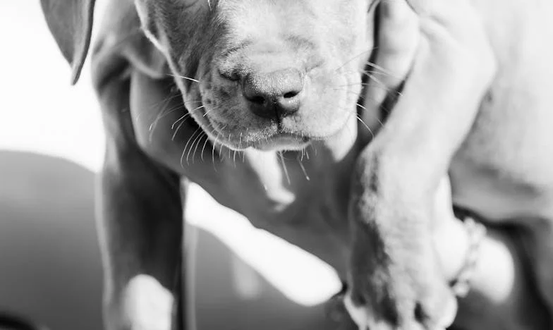 Odszedłem, by zyskać bliskość – historia Pawła z Gdańska