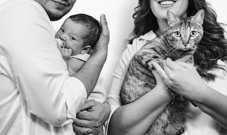 Rok bez odwiedzin, jeden telefon i tajemnica teścia: Co naprawdę kryło się za jego nagłym przyjazdem?