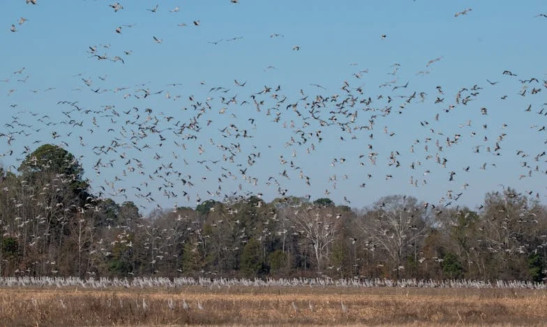 Rozwód z mężem jest możliwy, ale od dzieci nie da się uciec!