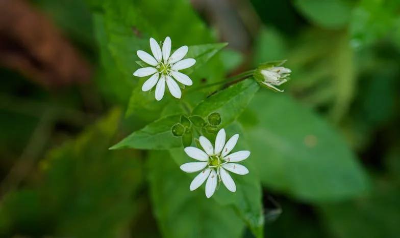 Siła wiary: Jak odnalazłam siebie pośród rodzinnego kryzysu