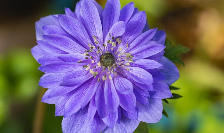 Tajemnice z szuflady mamy: Co odkryłam po jej śmierci i jak zmieniło to moje życie