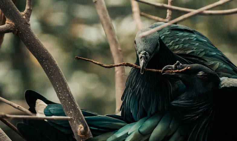 Telefon, który rozdarł nasze życie: Jak odkryliśmy, że nasz syn jest ofiarą przemocy w przedszkolu