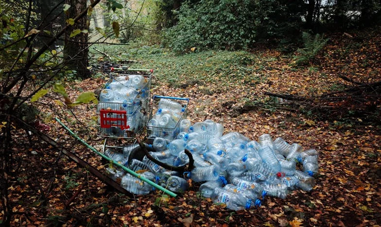 Telefon, który roztrzaskał moje życie: Historia zdrady, która zmieniła wszystko