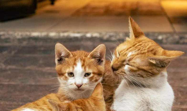 „To tylko obiad, co w tym wielkiego?” – Kiedy Marek zbagatelizował moją pracę, postanowiłam pokazać mu, ile naprawdę znaczy codzienny trud kobiety