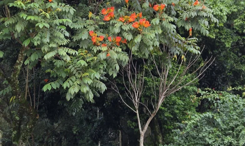 „Tyle dzieci, ile chcę!” – Historia rozpadu mojej rodziny