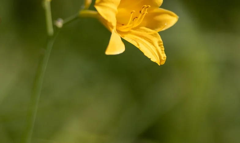 Wyrzucona z własnego życia: "Nie jesteś matką, tylko przekleństwem" – Moja walka o syna i upadek, który zmienił wszystko