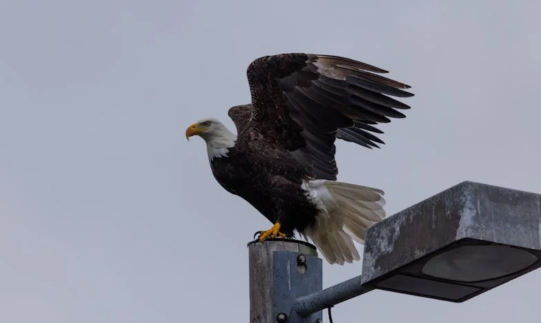 Za kierownicą życia: Historia Magdy z Pruszkowa