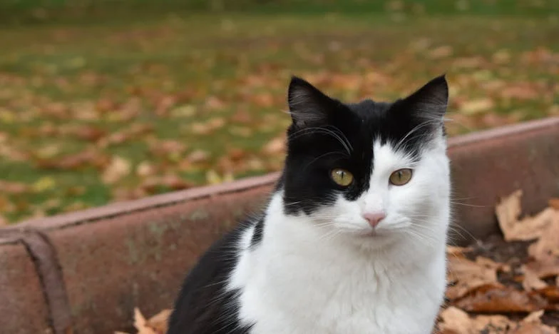 Zdrada w cieniu codzienności: Jak mój świat rozpadł się w jeden wieczór