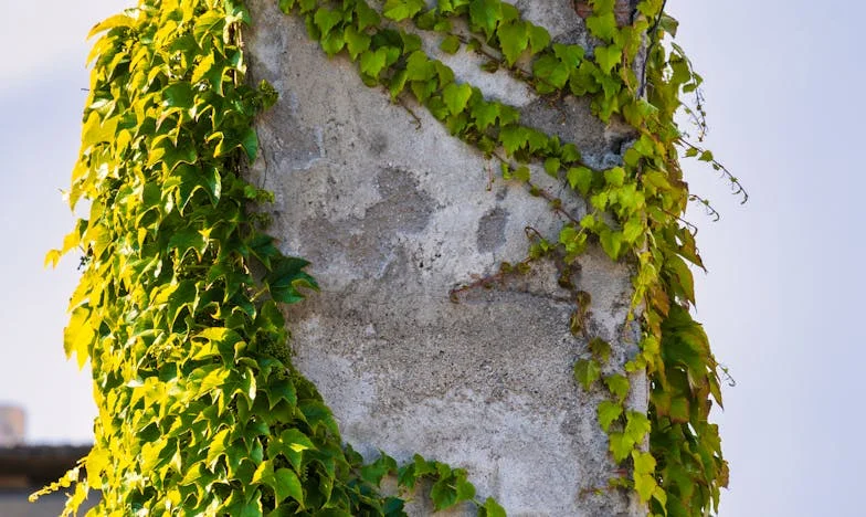 Blizna, której nie da się zapomnieć: Powrót do przeszłości w poczekalni u kardiologa