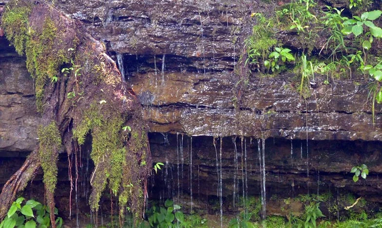 Co odkryłam w telefonie mojej synowej: Rodzinny sekret, który zmienił wszystko