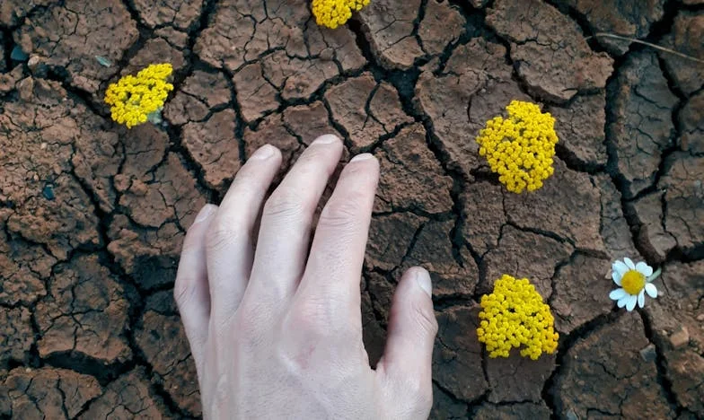Czy naprawdę jestem dla nich ciężarem? Moja walka o miejsce w rodzinie po sześćdziesiątce