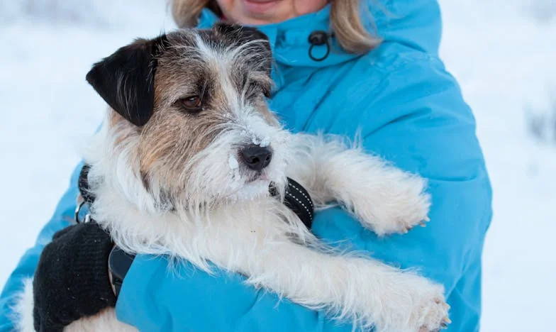 Dom mojej matki: Obietnica złamana po moim ślubie