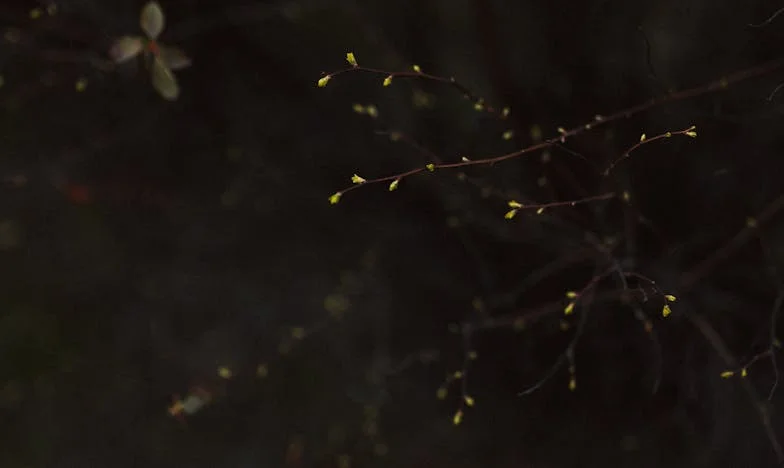 Jak wybaczyłam synowi i byłej synowej – historia babci, która musiała nauczyć się żyć na nowo