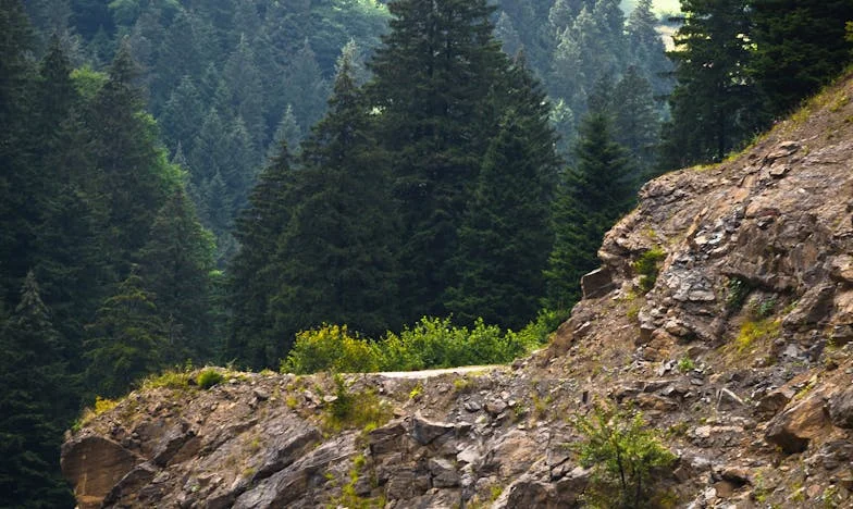 Jesień życia i niespodziewany dar: Gdy szczęście dzieli rodzinę