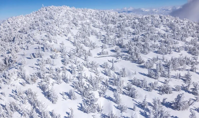 Kiedy dzieci odchodzą: Wyznania polskiej matki między bólem, winą a nadzieją