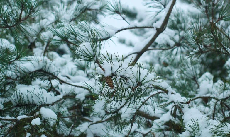 Kiedy mama dzwoni o świcie – Moja walka o własne życie między miłością a kontrolą