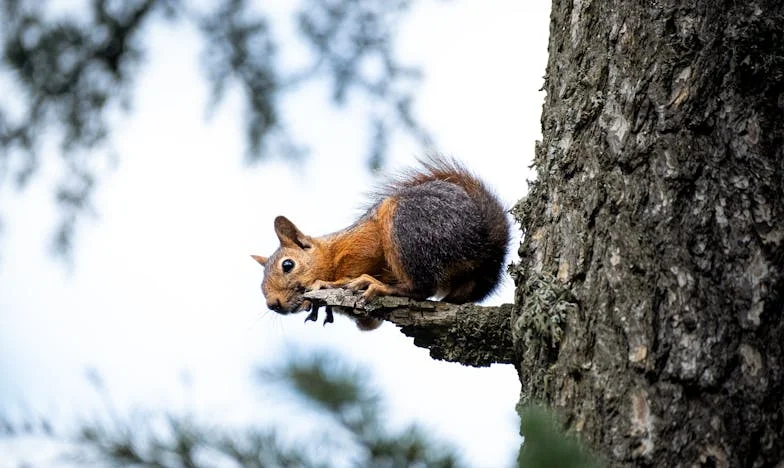 Kiedy Moja Córka Została Wdową, Jej Córka Utrudniła Jej Życie – Lata Później Role Się Odwróciły