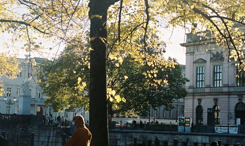 Kiedy po rozwodzie zostałam z niczym – nawet samochód nie był mój. Moja walka o godność i nowy początek
