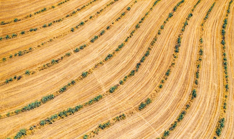 Kiedy rodzice stają się ciężarem: Moja walka o własne życie i granice