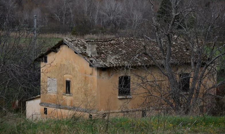 „Mamo, daliśmy ci pieniądze: dlaczego dzieci były głodne?” – Odkryłam, jak moja mama karmi wnuki, gdy zostaje z nimi sama na działce