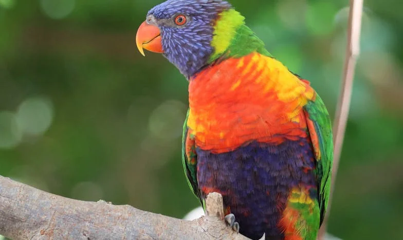 Miłość, która dzieli – Moja walka o szczęście po rozwodzie