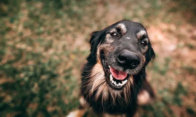 Moja córka zniknęła z mojego życia. Czy naprawdę byłam aż tak złą matką?