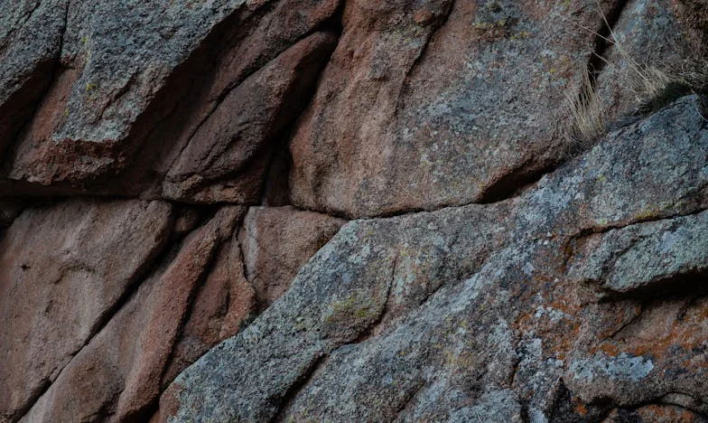 Myślałam, że wspólne mieszkanie z kuzynką to świetny pomysł. Dziś wiem, jak bardzo się myliłam…