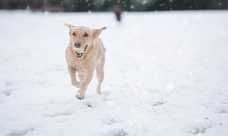 „Nie było mnie na urodzinach mojej córki. Czy naprawdę jestem aż tak złą matką?” – Spowiedź sześćdziesięcioletniej wdowy, która straciła kontakt z jedyną córką