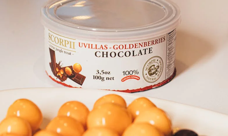 „Nie dla nich kupiliśmy ten dom” – Kiedy teściowie wprowadzili się na zawsze. Moja historia o rodzinnych granicach i poświęceniu