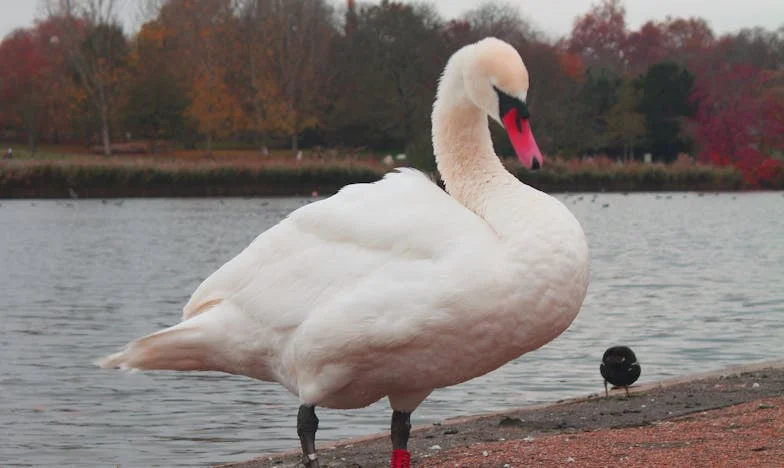 Nie jestem służącą swojej rodziny: dzień, w którym powiedziałam dość