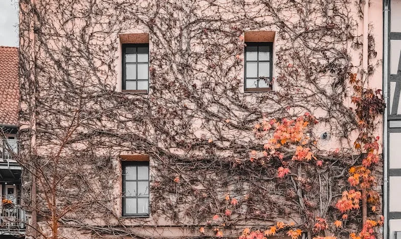 Poranne śniadanie, które zmieniło wszystko: Opowieść o sąsiedzkiej dobroci i rodzinnych ranach