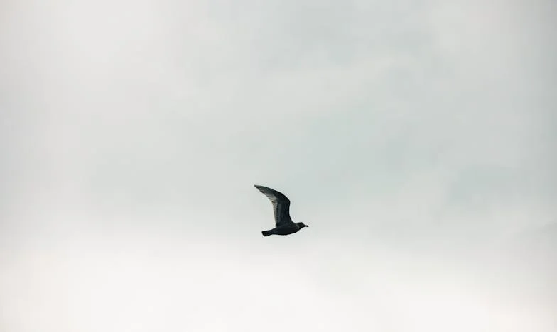 Teściowa obiecała nam zmywarkę, ale moja mama stanowczo się sprzeciwia. "Nie będzie zmywarki w moim domu!" – rodzinny konflikt, który podzielił nas na dwa obozy