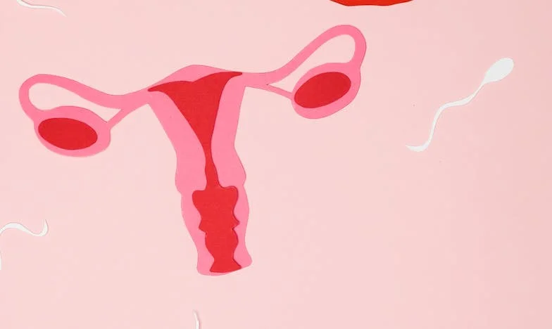 Z popiołów: Historia Magdy, która musiała zacząć wszystko od nowa