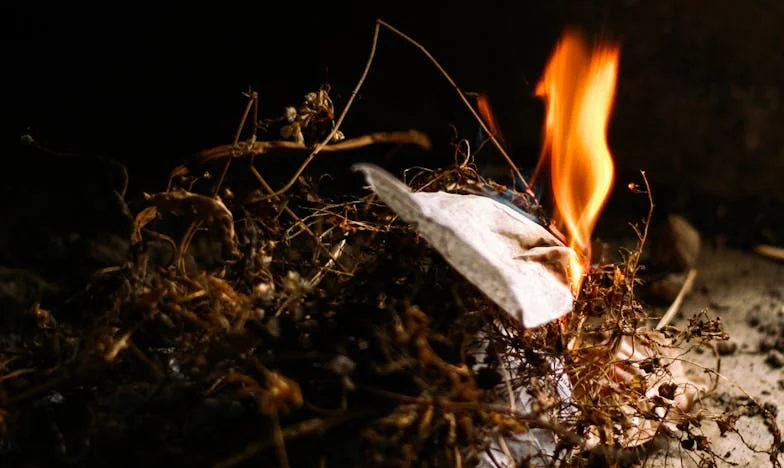 Zostałam sama z Leonem, a teściowa złożyła mi propozycję, która rozdarła mi serce. Czy matka może wygrać z rodziną męża?