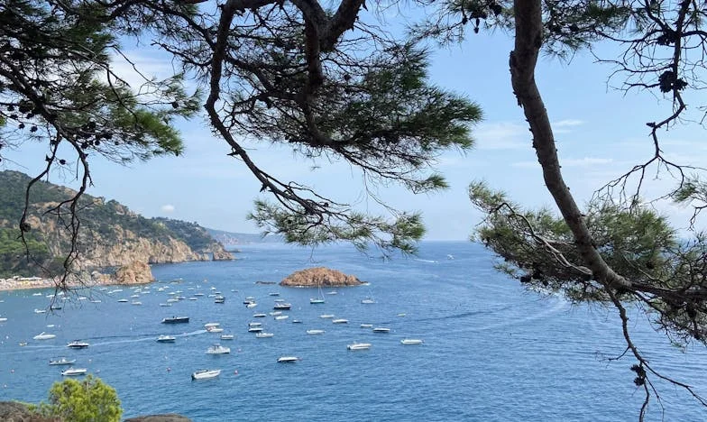 Czy mam prawo do szczęścia w wieku pięćdziesięciu siedmiu lat?