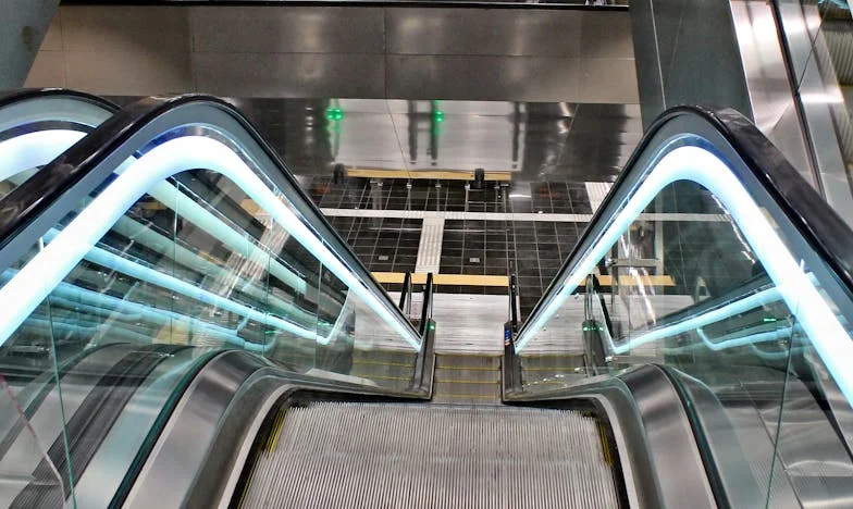 „Donesi dzieci, ale nie zapomnij portfela”: Rodzinna tajemnica w ogrodzie Kovačevićów