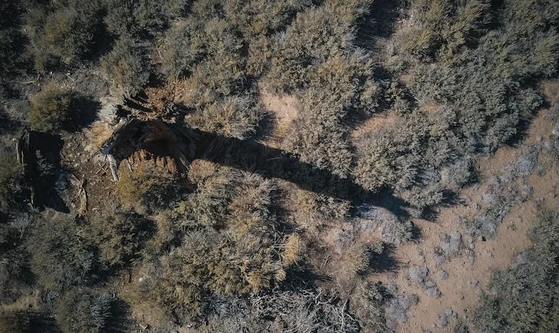 „Już nigdy nie zobaczysz swoich wnuków” – historia o rozpaczy, winie i nadziei na pojednanie