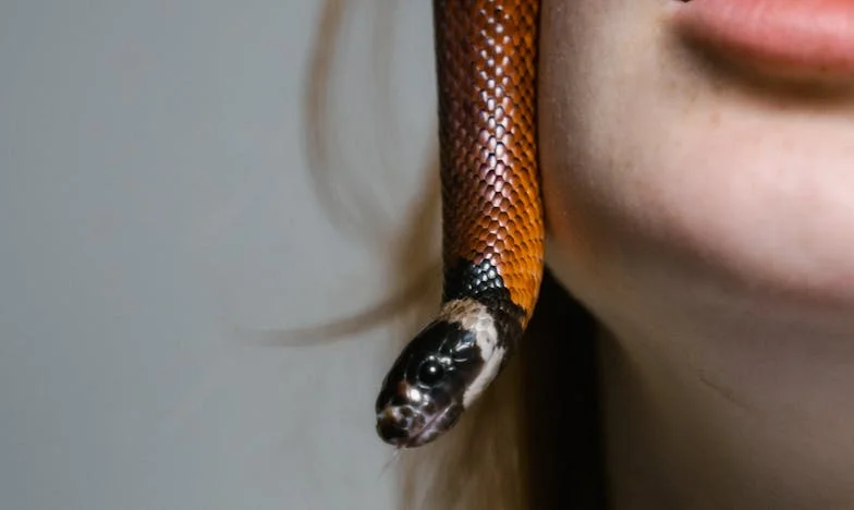 Kiedy weekend staje się koszmarem: Moja walka o własny czas w domu teściów