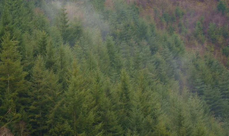 Między ścianami: Jak modlitwa pomogła mi przetrwać rodzinny kryzys